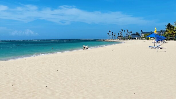 Ein Strand mit blauem Himmel, sandigem Ufer und einigen Palmen.