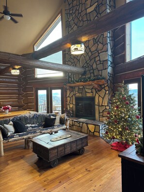 Smart TV, chimenea, libros