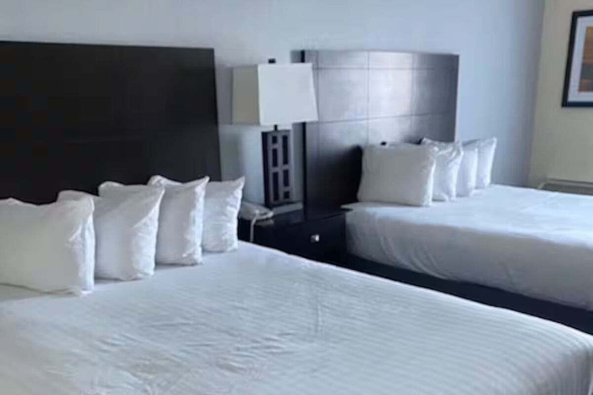 Iron/ironing board, free WiFi, bed sheets, wheelchair access