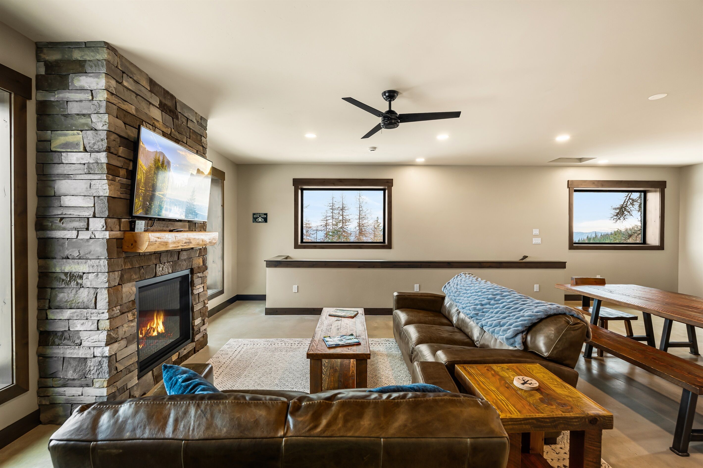 Smart TV, fireplace, books