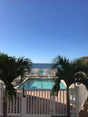 Pool - 102 - Newly renovated house Oceanside  and Pool (Cudjoe Key)