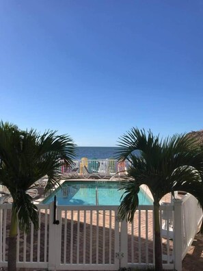 Pool - 103- Newly Renovated House with Oceanview and Pool (Cudjoe Key)