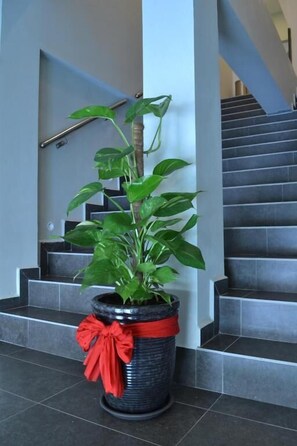 المنشأة من الداخل