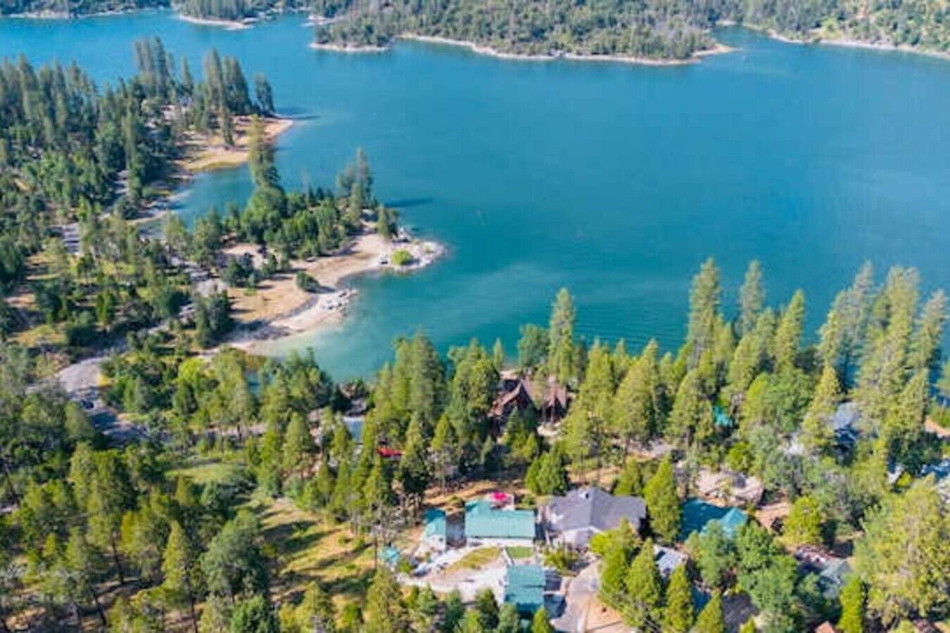 A residential area with houses surrounded by dense forest and a large body of water.