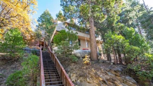 Un escalier menant à un bâtiment entouré d’arbres.