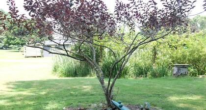 4-bedroom farmhouse in charming Lancaster with beautiful views.