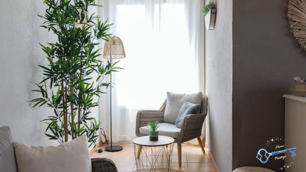 Ein gemütliches Wohnzimmer mit einer großen Bambuspflanze, einem Korbstuhl, einem kleinen runden Tisch und einer Stehlampe.