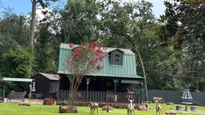 Une cabane rustique dotée d’un porche, entourée d’une cour verdoyante et d’arbres.