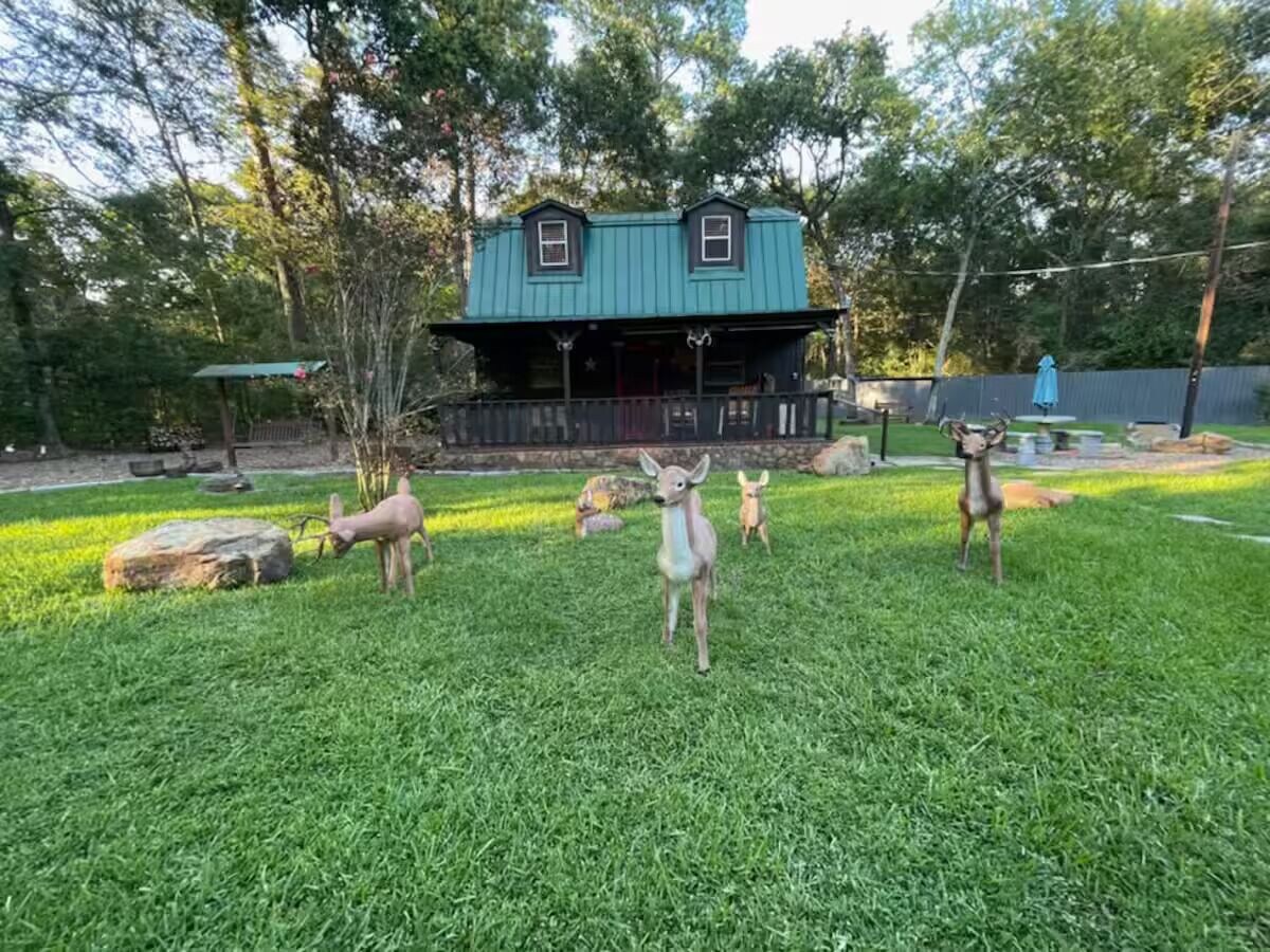 Image de profil de l’hôte