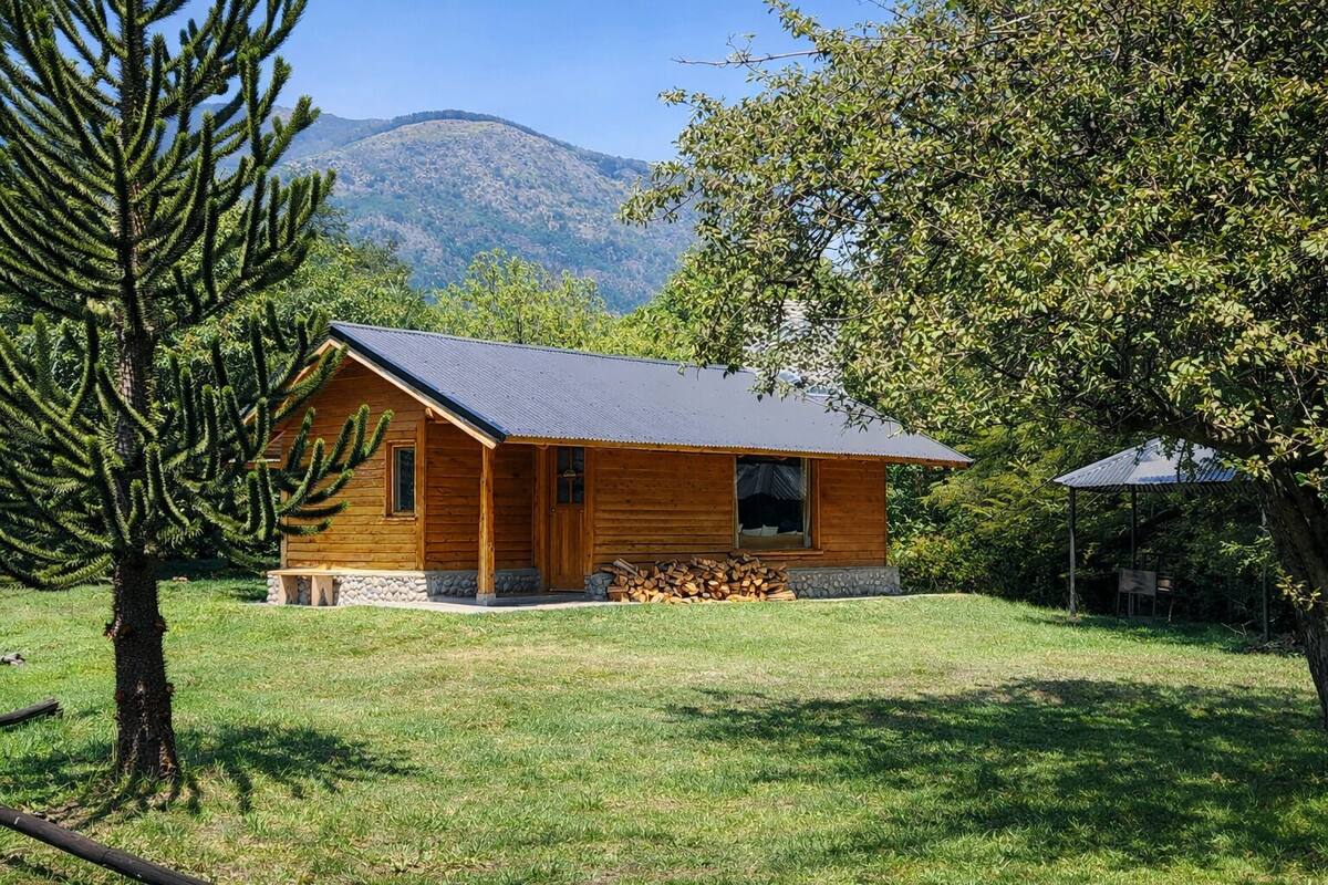 A wooden cabin with a sloped roof, surrounded by lush greenery and a mountain in the background.