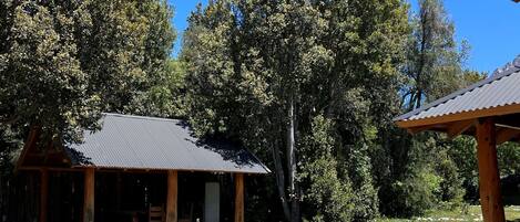 A rustic cabin with a metal roof, surrounded by a grassy area with scattered rocks and trees.