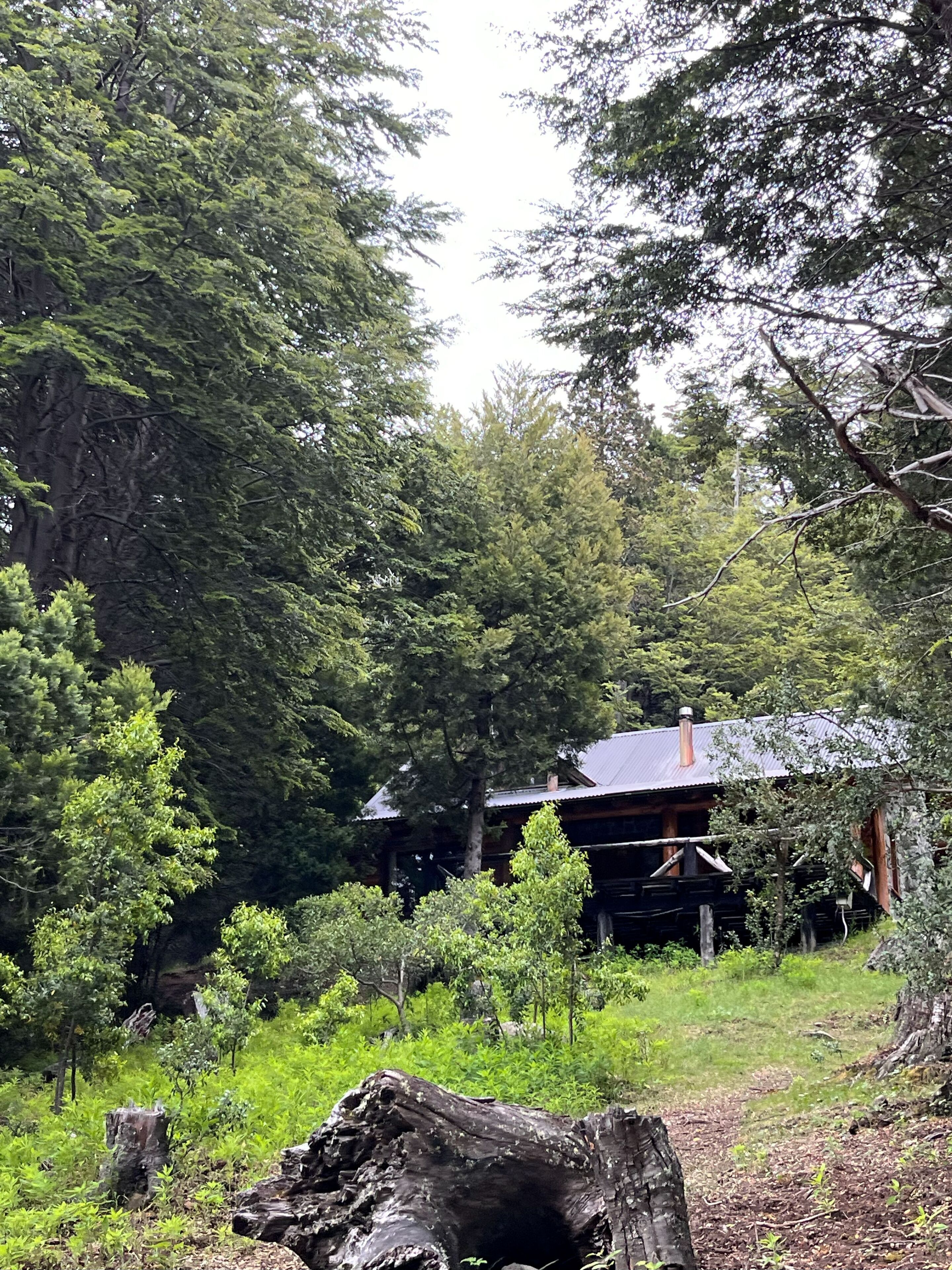 Mökki | Tallelokero huoneessa, pimennysverhot, ilmainen Wi-Fi