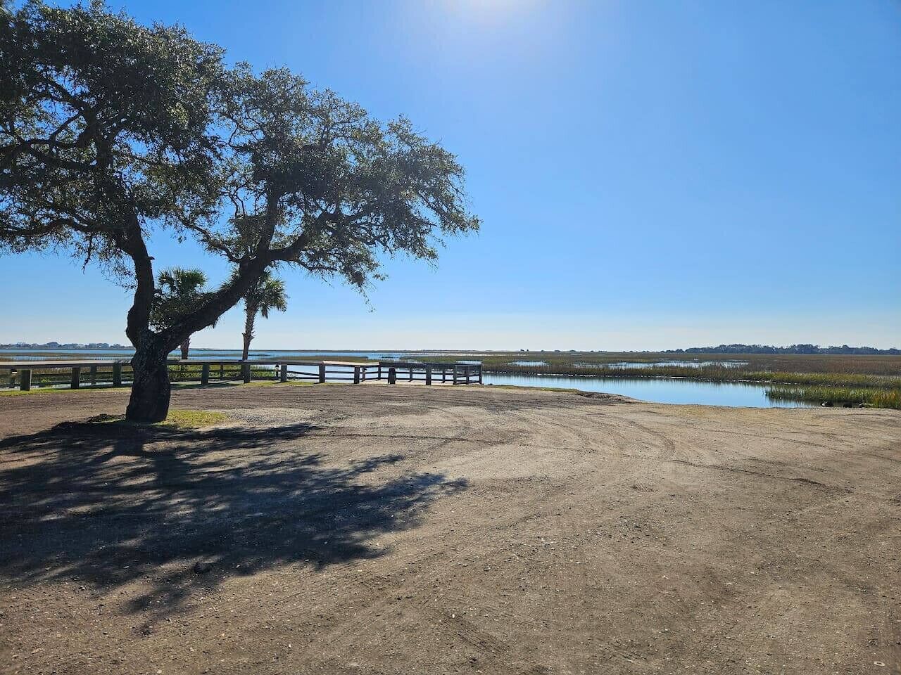 A dirt area with a tree, a wooden fence, and a body of water in the background.