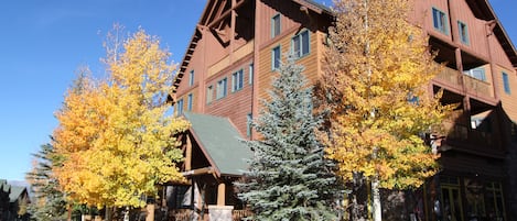 Condo (1 Bedroom) | Exterior