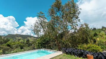 A rectangular swimming pool with clear blue water, surrounded by lush greenery and a large tree.