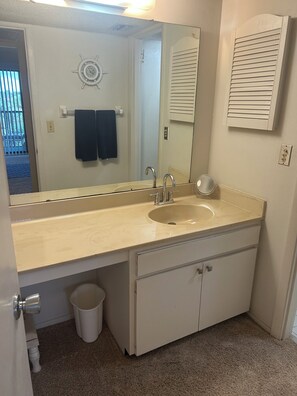 Shower, hair dryer, towels, soap - Condo in the Sky: bright, beautiful and in Bradenton. We invite you to Paradise! (Bradenton)