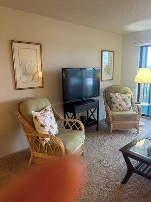 TV - Condo in the Sky: bright, beautiful and in Bradenton. We invite you to Paradise! (Bradenton)