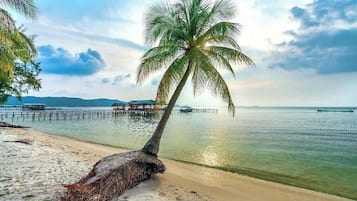 Standard-Bungalow | Strand-/Meerblick