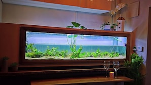 A large aquarium with aquatic plants, a wooden bar with stools, and a decorative chandelier.