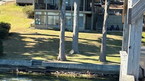 A lakeside property with a large house, a dock, and a small boat. - Lakefront Retreat - 3BR/2BA Cherry Lake Home + Private Boat Dock (Madison)