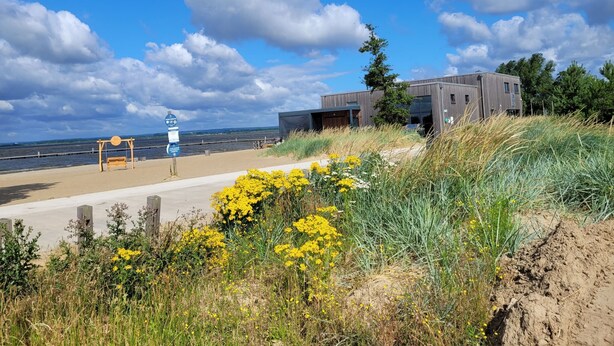 A coastal view with a modern building, a sandy beach, and a swing set.