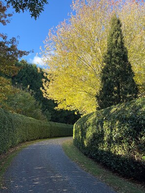 المنطقة المحيطة بالمنشأة