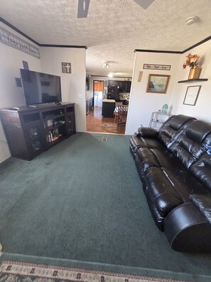 TV, fireplace - Peaceful Country Retreat Near The Masters (Windsor)