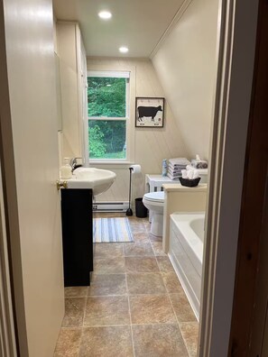 Hair dryer, towels, soap, toilet paper - Lakeside A-frame Cottage (Clare)