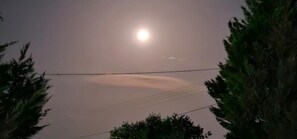 디럭스룸, 발코니, 정원 전망 | 테라스/파티오