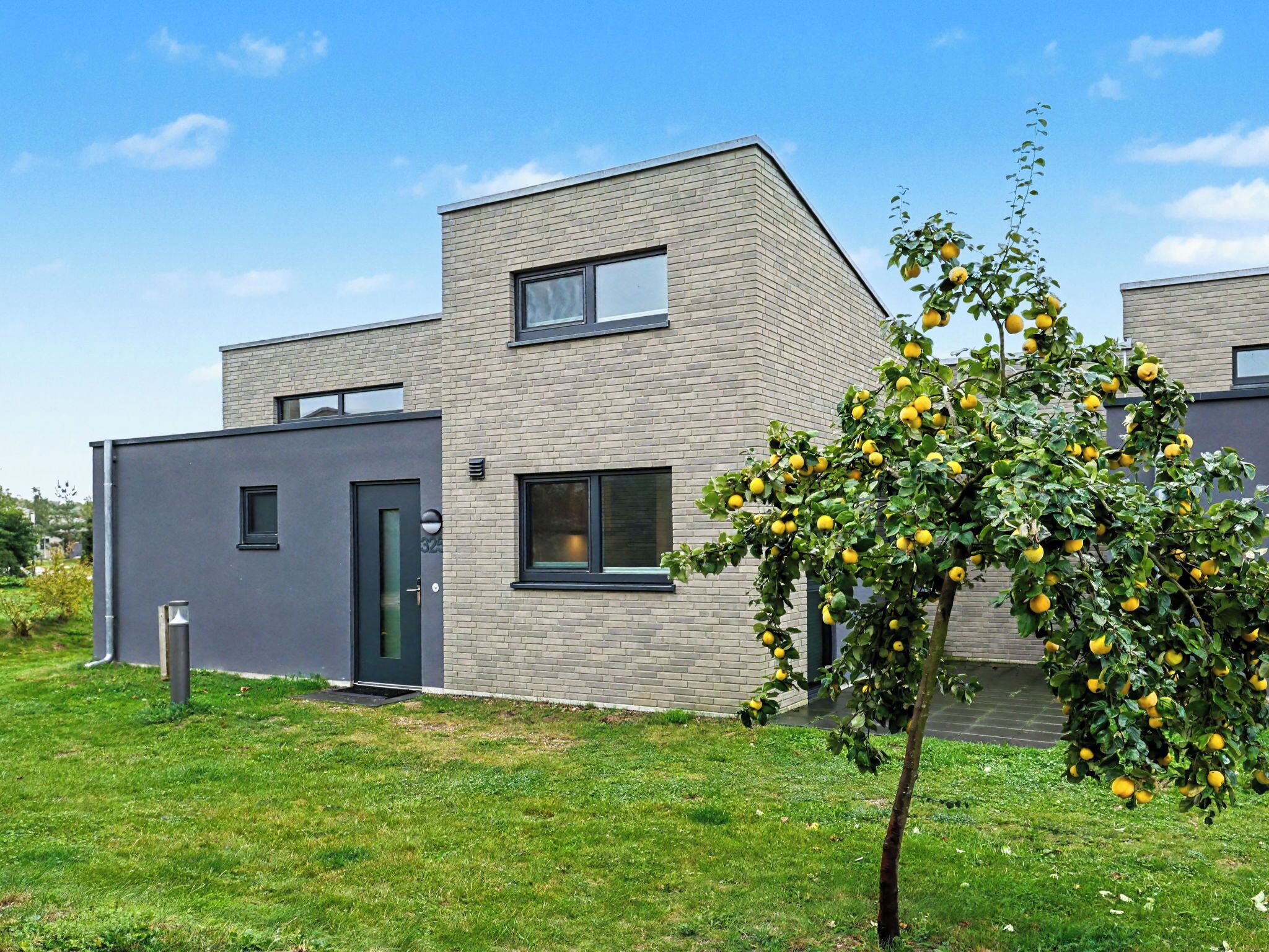 Een modern gebouw met twee verdiepingen, een plat dak, grote ramen en een kleine boom met gele vruchten op de voorgrond.