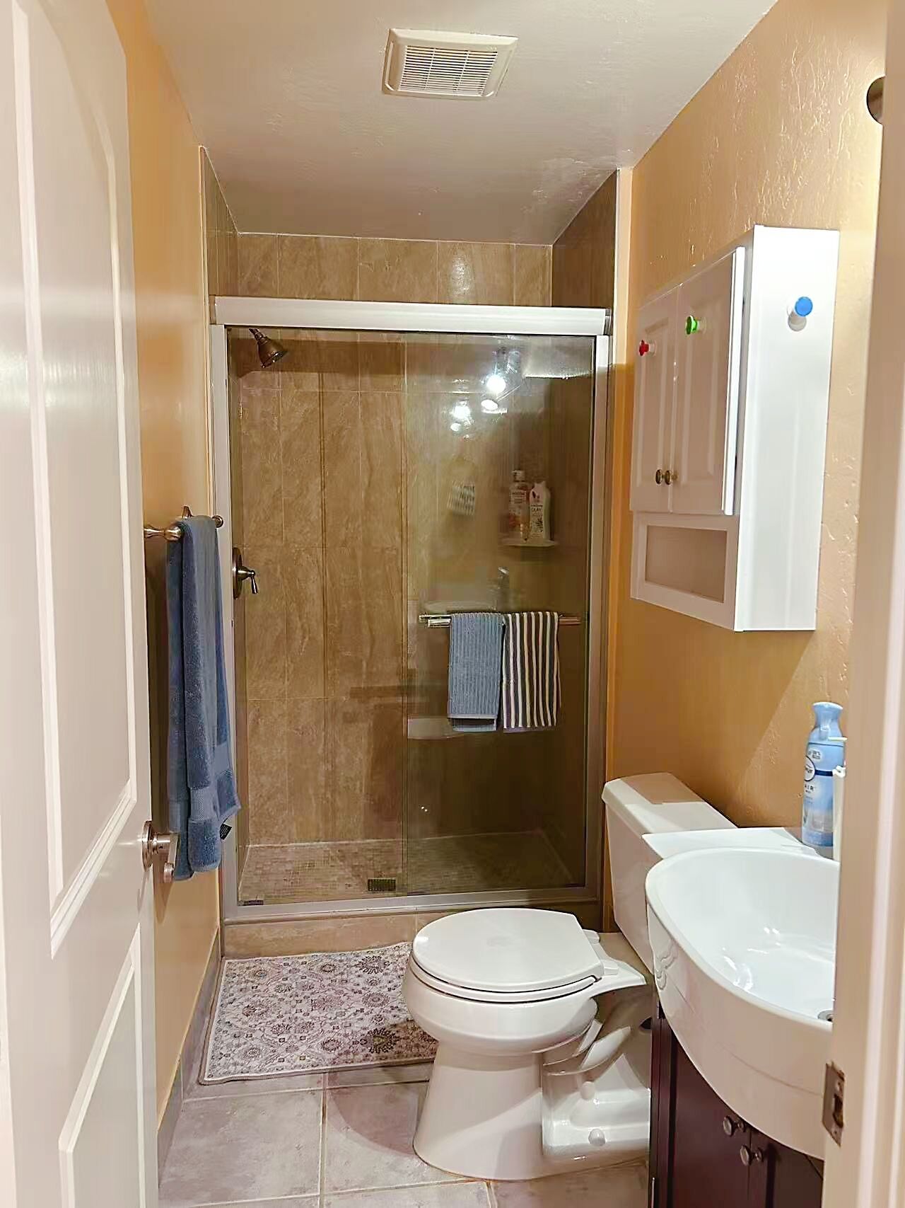 Hair dryer, towels, soap, toilet paper