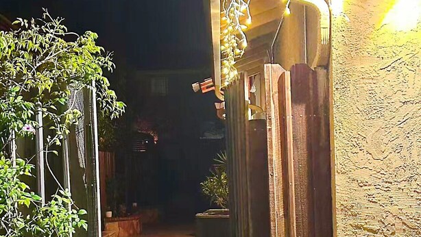 An outdoor entrance with a wooden gate, a potted plant, and string lights. - Serene cottage with AC in Milpitas - 2 bedrooms available (Milpitas)