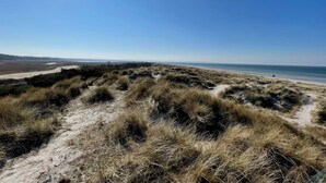 Een strand met duinen en een heldere lucht.