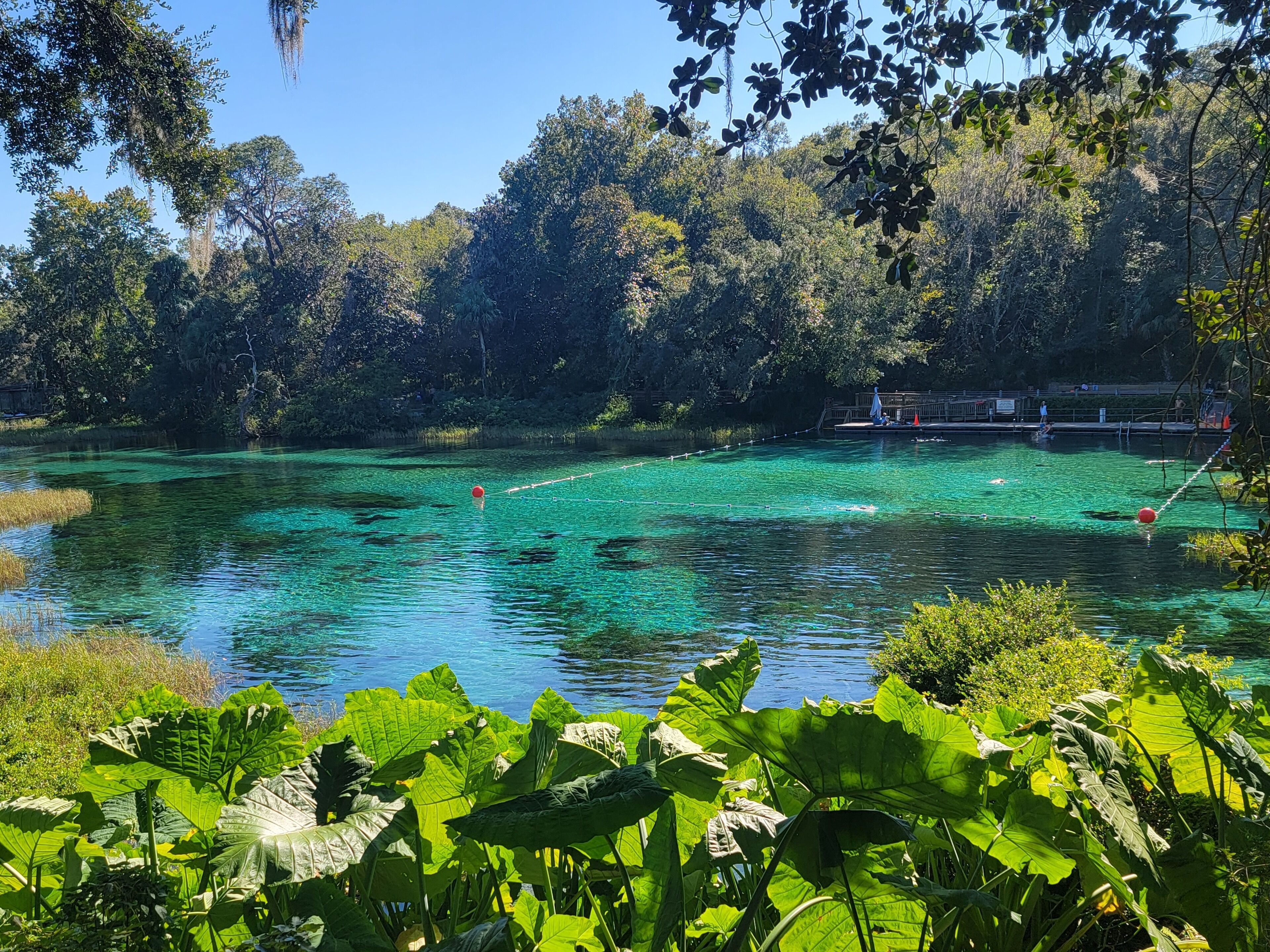 A clear lake surrounded by lush greenery and trees.