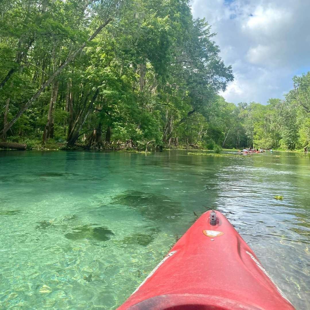 Klarer Blick auf einen Fluss, im Vordergrund ein rotes Kajak und üppiges Grün entlang des Ufers.