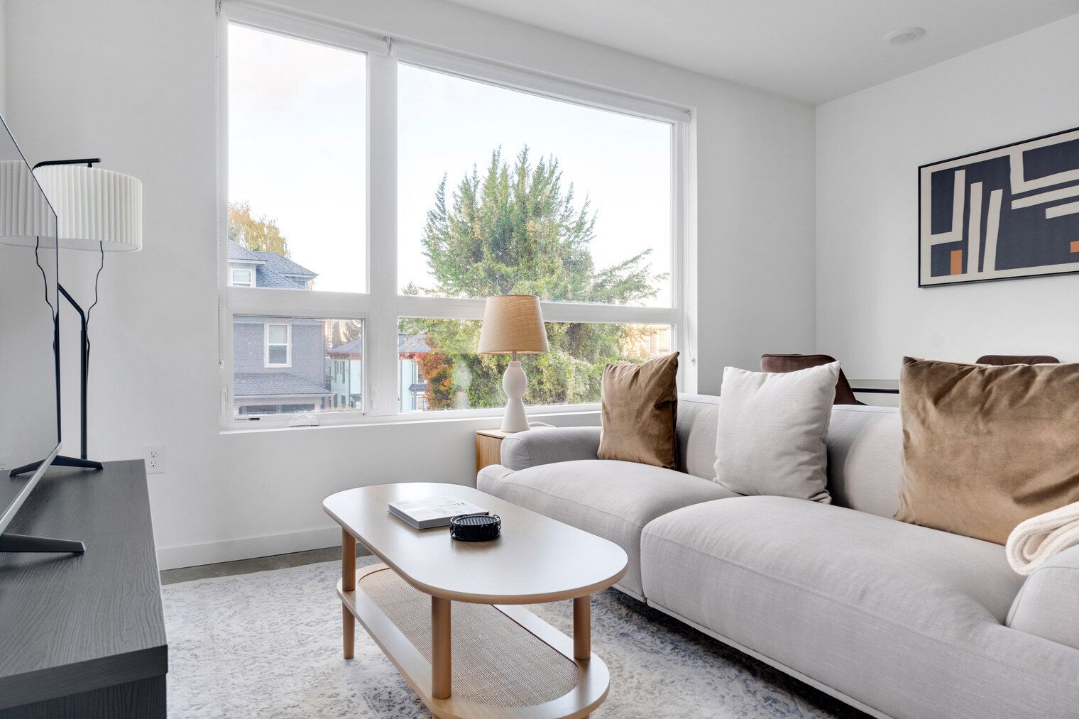 Televisión y estéreo 