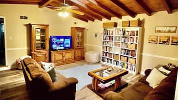 智能电视、壁炉、电子游戏、DVD 播放器