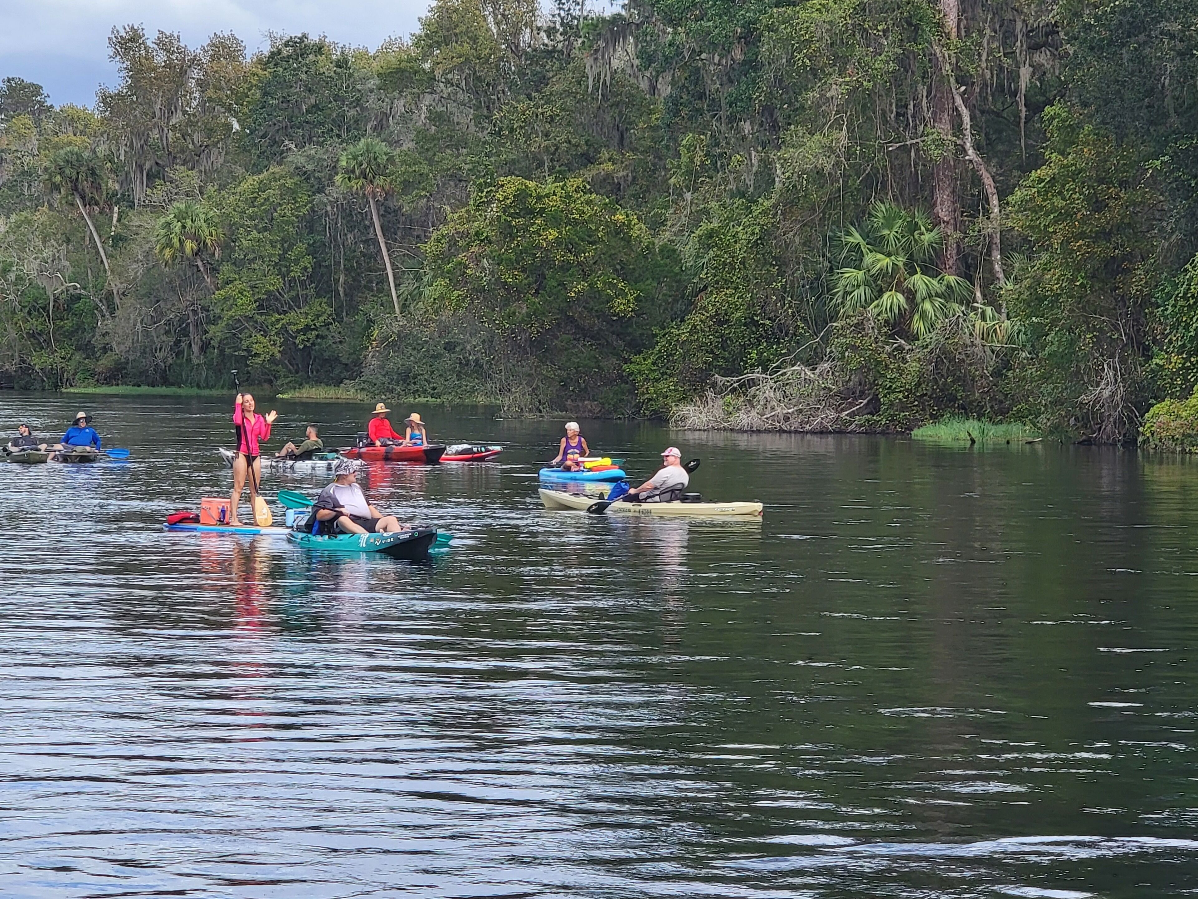 A group of people paddling in canoes on a calm river surrounded by dense forest.