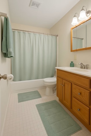 Hair dryer, bidet, towels, soap