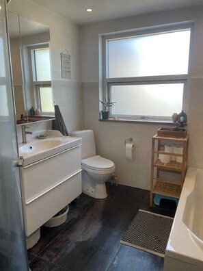 Shower, hair dryer