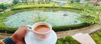 Waterlily Resort Sreemangal