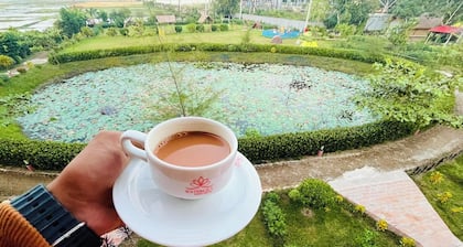 Waterlily Resort Sreemangal