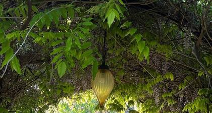 🌸 La Casa dei Fiori – Ruhiges Landhaus nahe dem Lago di Vico