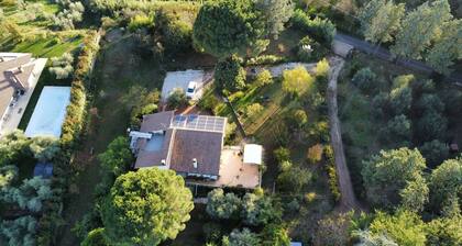 La Casa Dei Fiori-Oasis of peace in Fabrica di Roma