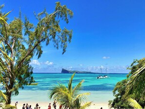 Une plage aux eaux turquoise et limpides, bordée de bateaux et de palmiers.