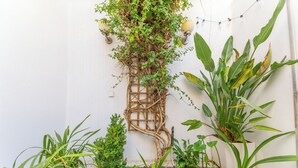 A garden with a climbing plant on a trellis against a white wall, surrounded by various potted plants. - Rosemary House (Tavira)