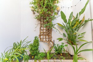 Property grounds - Rosemary House (Tavira)