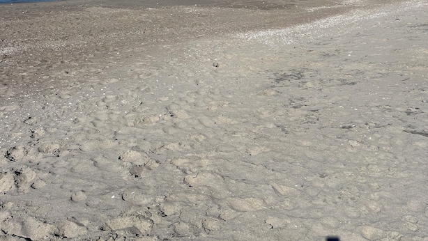 Een strand met heldere lucht en een kalme zee.