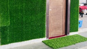 A building facade with a wooden door and green artificial grass. - Hotel Green Lotus (Noida)