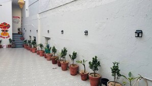 Un pasillo estrecho con plantas en macetas dispuestas a lo largo de una pared, una escalera que conduce a un nivel superior y un cartel de bienvenida.